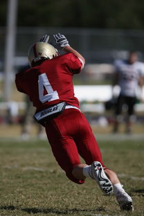 开云官方-五大联赛最具统治力的球队如何打造，五大联赛良心球队